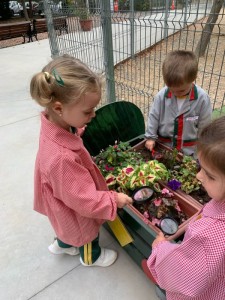 WhatsApp Image 2025-03-21 at 15.35.56 (1)