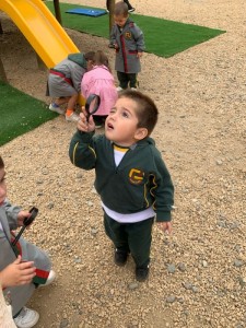 WhatsApp Image 2025-03-21 at 15.35.56 (2)