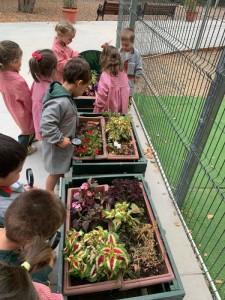 WhatsApp Image 2025-03-21 at 15.35.56