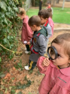 WhatsApp Image 2025-03-21 at 15.35.57 (1)