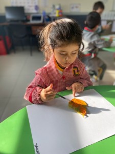 WhatsApp Image 2025-03-28 at 10.43.24 (2)