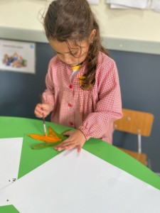 WhatsApp Image 2025-03-28 at 10.43.24