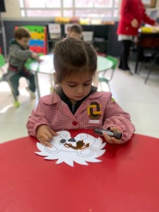 WhatsApp Image 2025-03-31 at 15.56.49 (1)