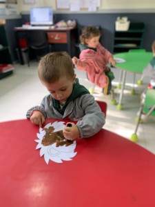 WhatsApp Image 2025-03-31 at 15.56.50