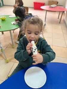 WhatsApp Image 2025-03-31 at 15.57.16