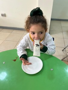 WhatsApp Image 2025-03-31 at 15.57.17