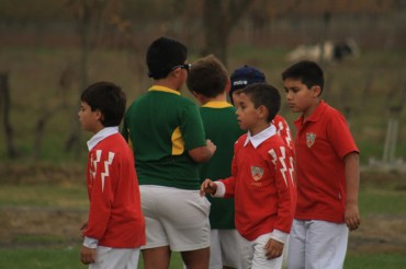 1st to 6th Grade: Rugby & Hockey Festival (6, May)